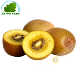 Kiwi Italia (pezzo)- FRESCO