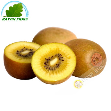 Kiwi Italia (pezzo)- FRESCO