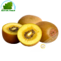 Kiwi Italia (pieza)- FRESCO