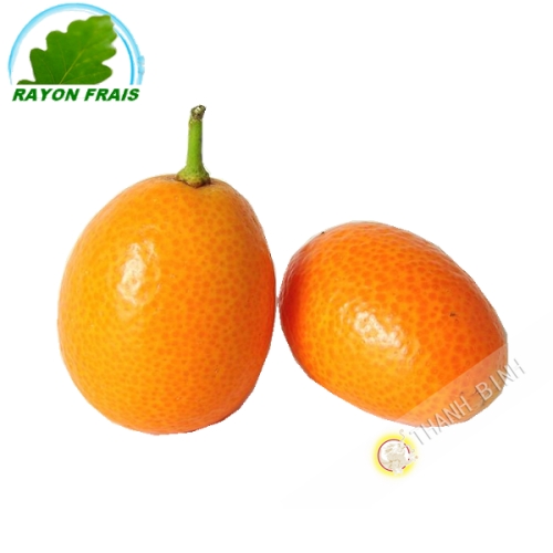 Kumquat (kg)