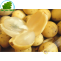 Longkon Thailand (kg)- COSTS