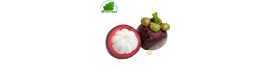 Mangostan (1kg - ca 10pcs )- KOSTEN