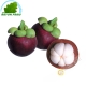 Mangosteen Vietnam (kg)