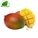 Mangue Kent (pièce) bateau- FRAIS - Env. 500g