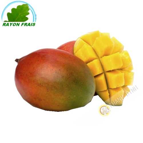 Mango Kent (parte)- COSTO - Ca. 500g