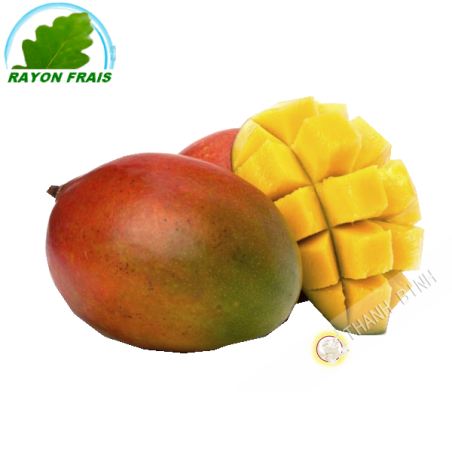 Mango Kent (parte)- COSTO - Ca. 500g