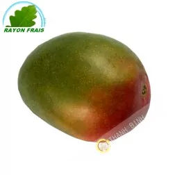 Mango Kent (parte) COSTO Aprox. 500g
