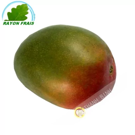 Mangue Kent (pièce) bateau- FRAIS - Env. 500g
