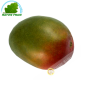 Mango Kent (part)- COST - Approx. 500g