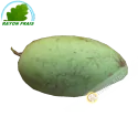 Mango verde para ensalada Vietnam (kg)