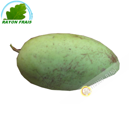 Green Mango for salad Vietnam (kg)
