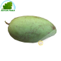 Green Mango for salad Vietnam (kg)