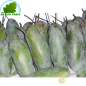 Green mango Sweet Thailand (kg)- COSTS