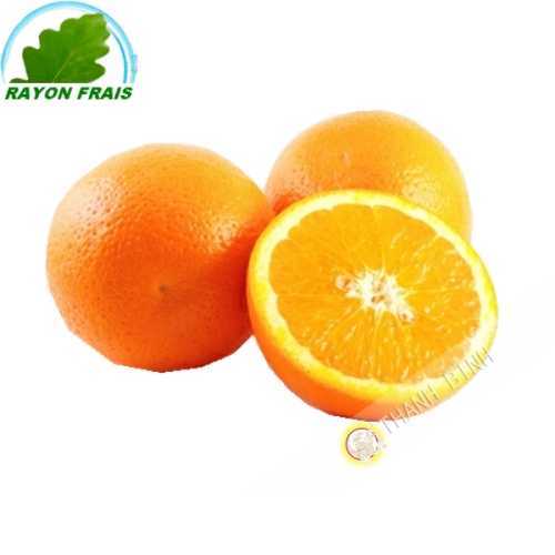 Orange navel Espagne (pièce)- FRAIS - Env. 400g