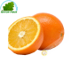 Orange (kg)