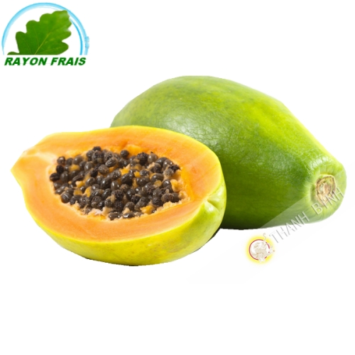 Papaya GM Brasil (habitaciones)- COSTO - Aprox. 1,2 kg
