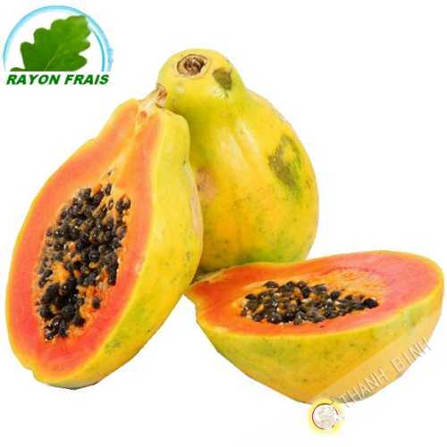 Papaya PM Brasil (kg)- COSTOS de