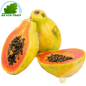 Papaya PM Brasil (kg)- COSTOS de
