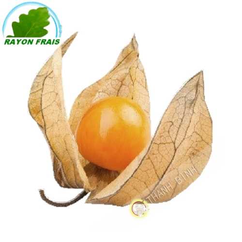 Physalis Colombia (punnet)- FRESH