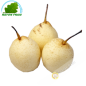 Poire Nashi Chine (kg) - FRAIS