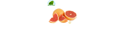 Grapefruits PM Spanien (stück)- KOSTEN
