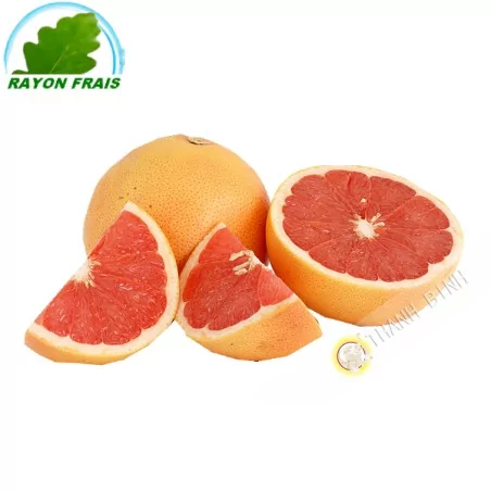 Grapefruits PM Spanien (stück)- KOSTEN