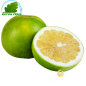 Grapefruit Sweetie (piece)- FRESH