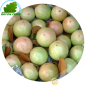 La manzana, la Leche, Vietnam (kg)- COSTOS de