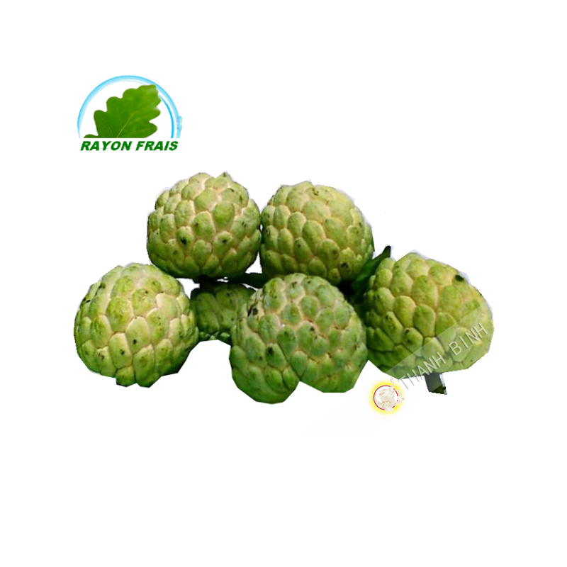 Pomme Cannelle Vietnam (kg)- FRAIS
