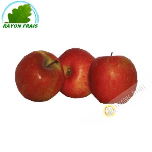 Manzana Fuji Francia (habitaciones)- COSTO - Aprox. 250g