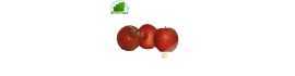 Apple Fuji France (kg)- fresh