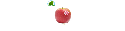Apfel Pink Lady (kg)- KOSTEN