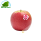 Apple Pink Lady (kg)- COSTS