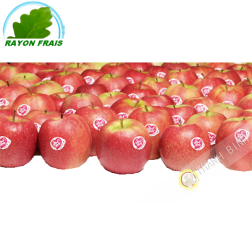 Apple Pink Lady (kg)- COSTS