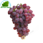 Uva roja, sudáfrica 500 g - FRESH