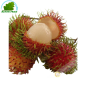 El Rambutan (aprox 450 g)- COSTOS de