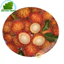 El Rambutan (aprox 450 g)- COSTOS de