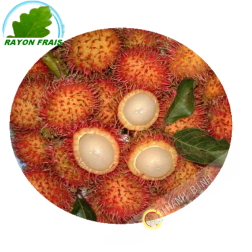 Rambutan (ca. 450g)- KOSTEN