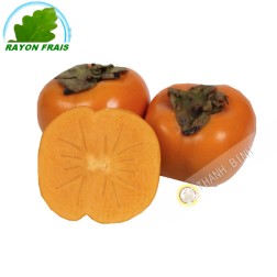 Sharon Spanien/Brasilien (pièce)- frisch