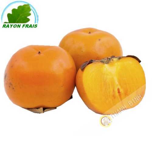 Sharon España/Brasil (pièce)- fresca