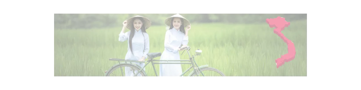 Thanh Binh Young import-export