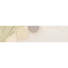 Riz
