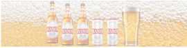 Alcool & Boisson