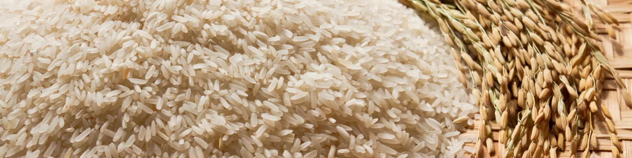 Riz parfume