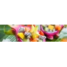 Conserve di frutta