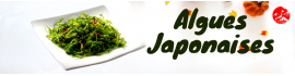 Algues Japonaises