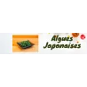 Algen JP