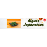 Alghe JP
