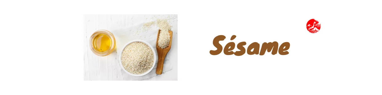 Sesamo giapponese
