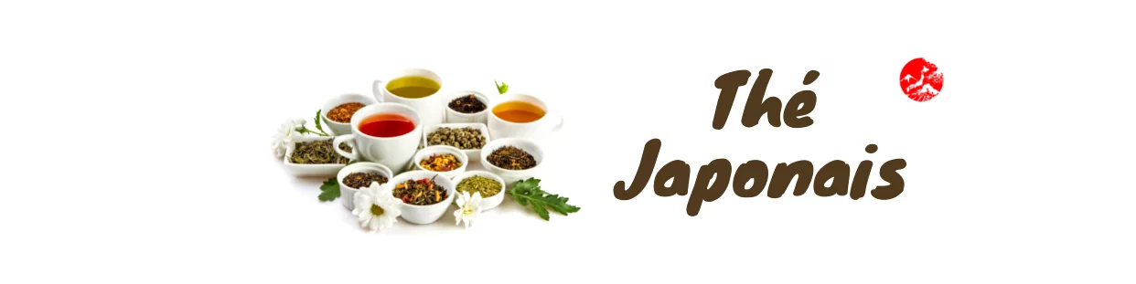 Té y Té de Hierbas JP